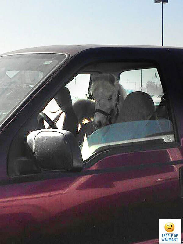 Экстравагантные покупатели Walmart