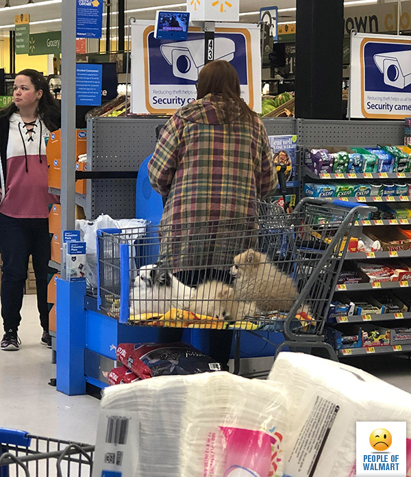 Экстравагантные покупатели Walmart