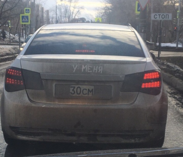 Прикольные картинки