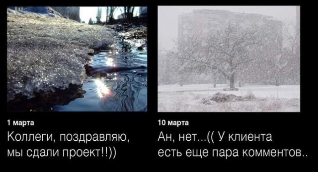 Прикольные картинки