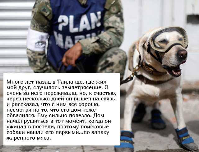 Жизненные истории с просторов сети