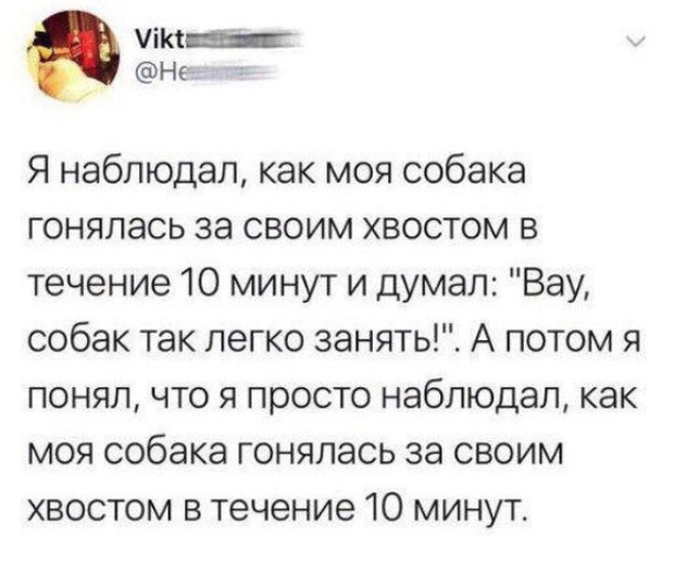 Комментарии и высказывания пользователей Twitter