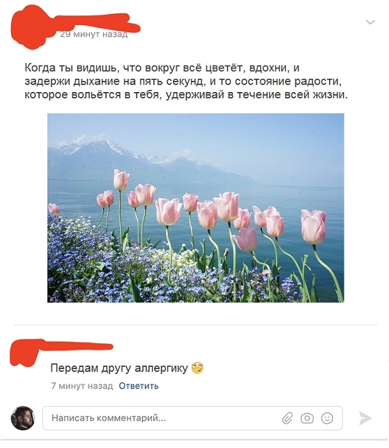 Комментарии и высказывания пользователей Twitter