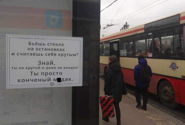 Прикольные картинки