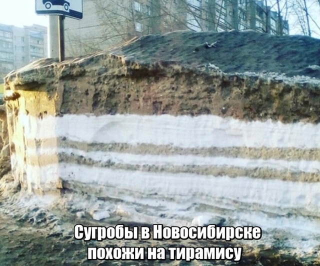 Прикольные картинки