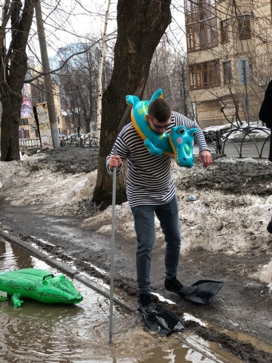 Прикольные картинки