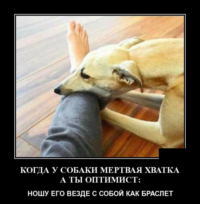 Демотиваторы