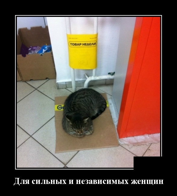 Демотиваторы