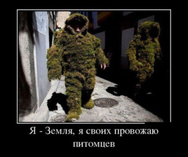 Демотиваторы