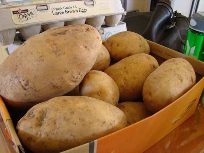 Продукты питания, которые нужно немедленно вытащить из холодильника Продукты питания, которые нужно немедленно вытащить из холодильника