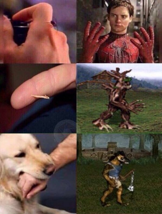 Забавные картинки