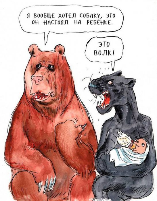 Забавные картинки