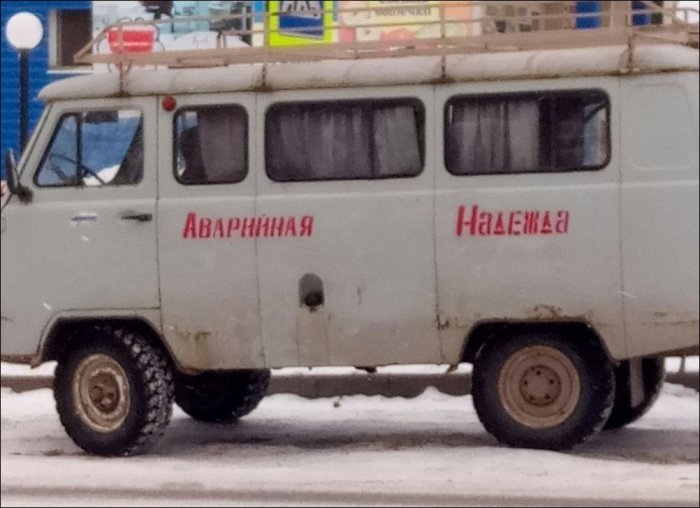 Забавные картинки