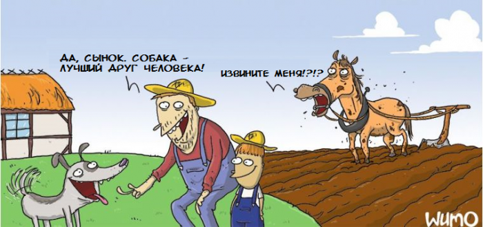 Забавные картинки