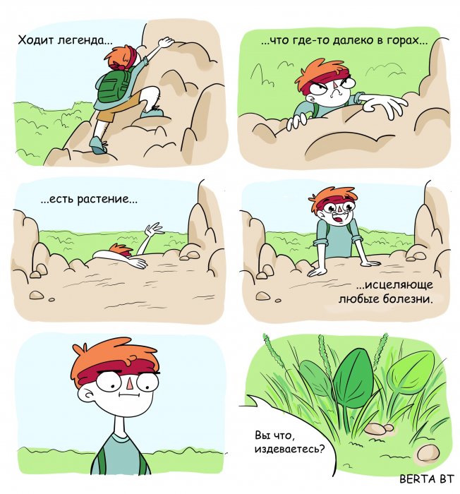 Забавные картинки