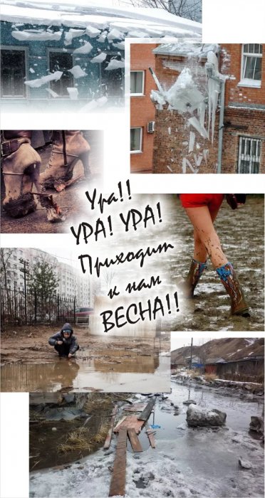 Забавные картинки