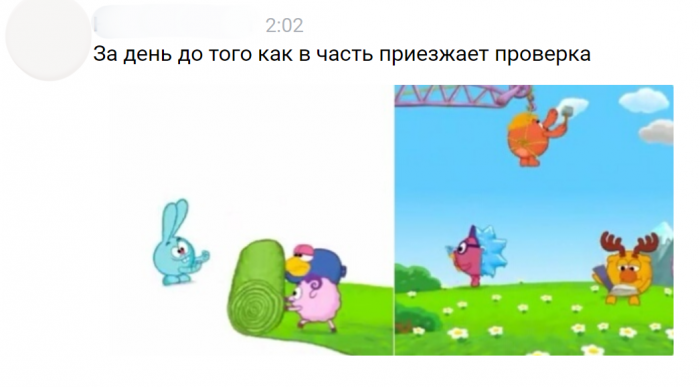 Забавные картинки