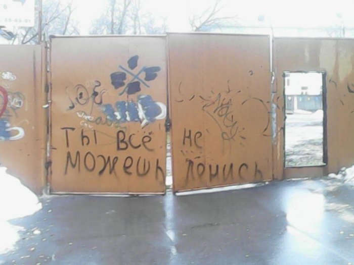Забавные картинки