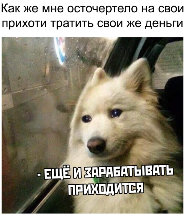 Прикольные картинки