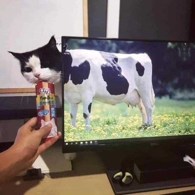 Обман зрения