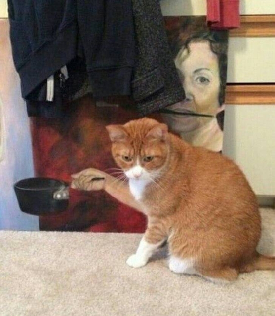 Обман зрения