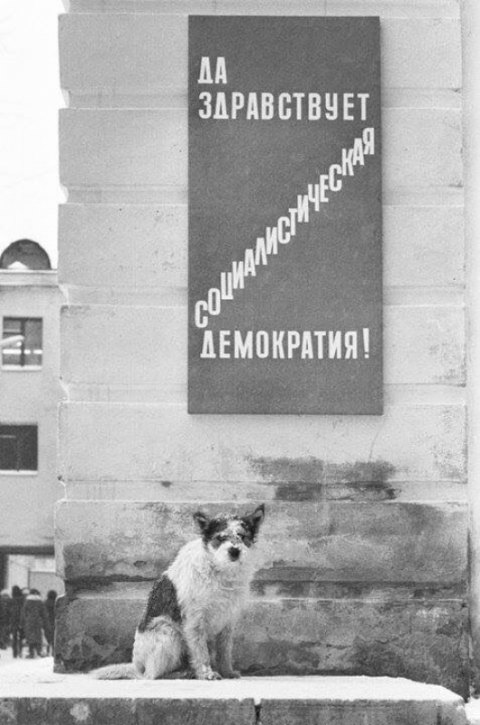 Архивные фотографии и интересные моменты из прошлого