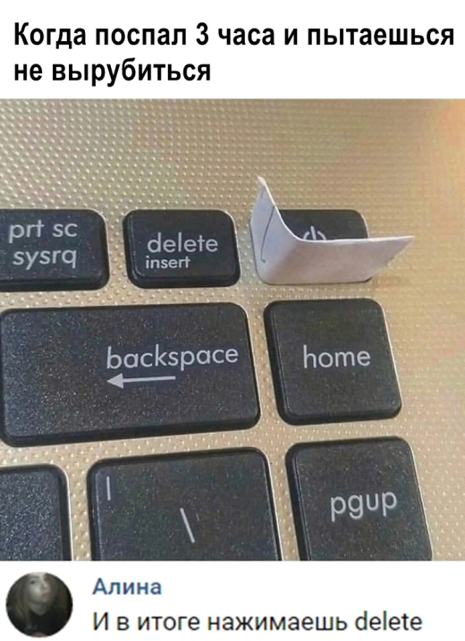 Прикольные картинки