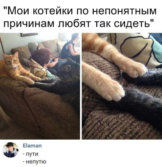 Прикольные картинки