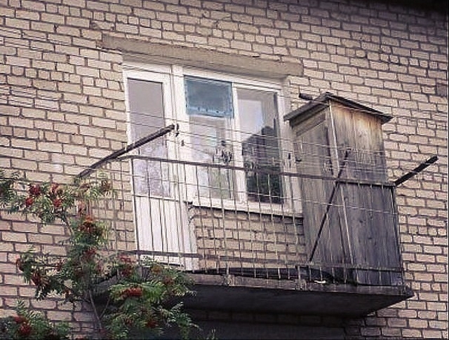 Прикольные картинки