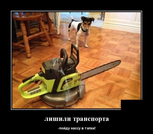 Демотиваторы