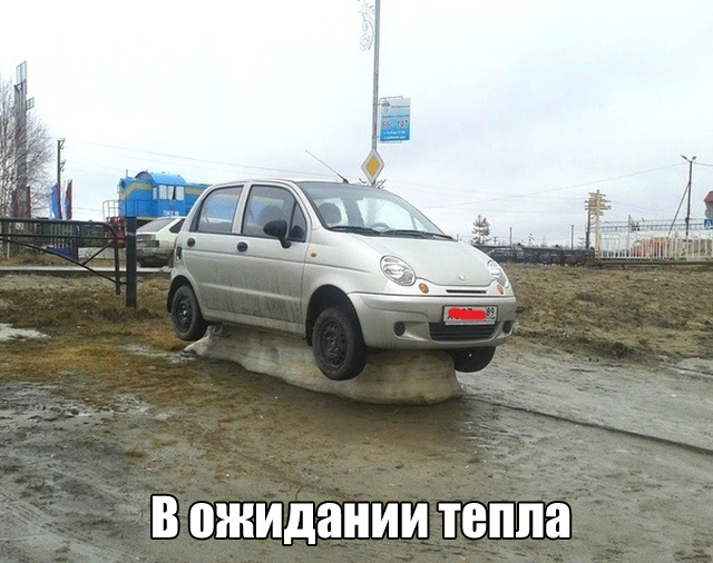 Прикольные картинки
