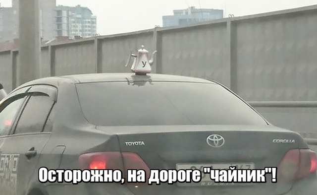 Прикольные картинки
