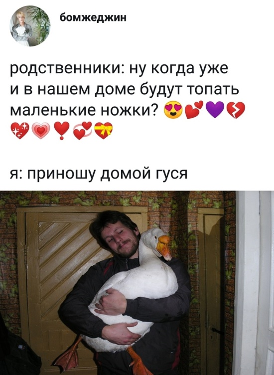 Прикольные картинки