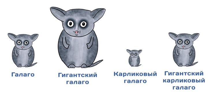 От научных новостей не заскучаешь, если их правильно нарисовать