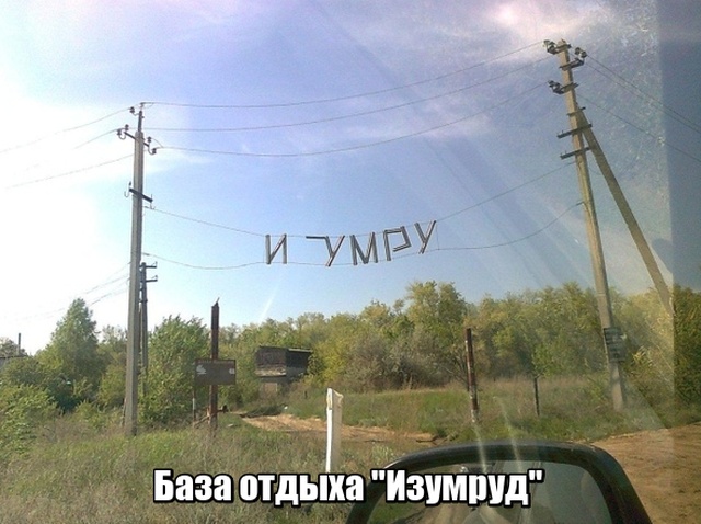 Прикольные картинки