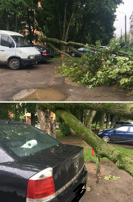Прикольные картинки
