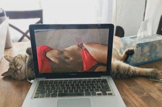 Прикольные картинки