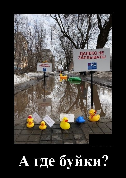 Демотиваторы