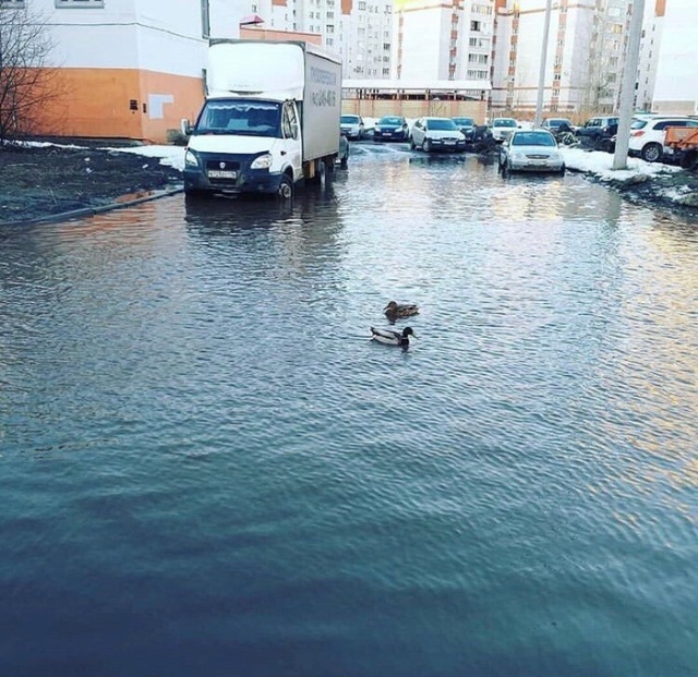 Прикольные картинки