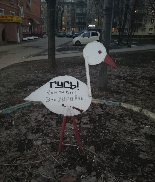 Прикольные картинки