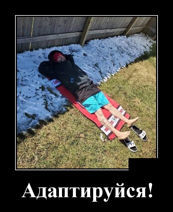 Демотиваторы