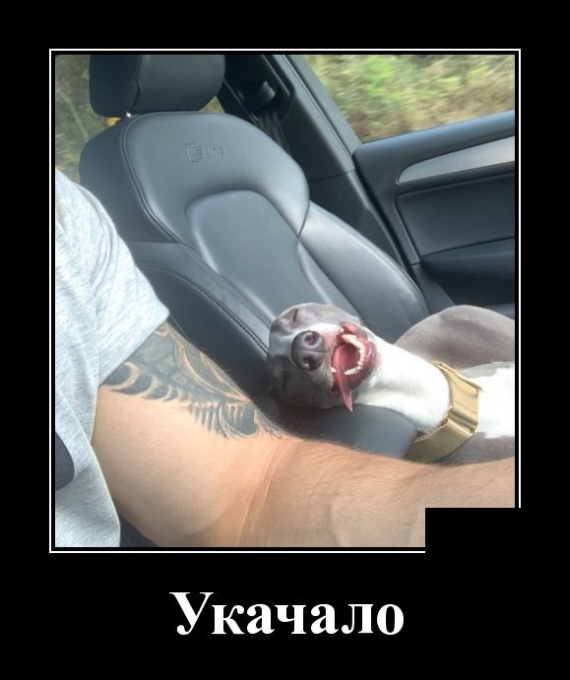 Демотиваторы