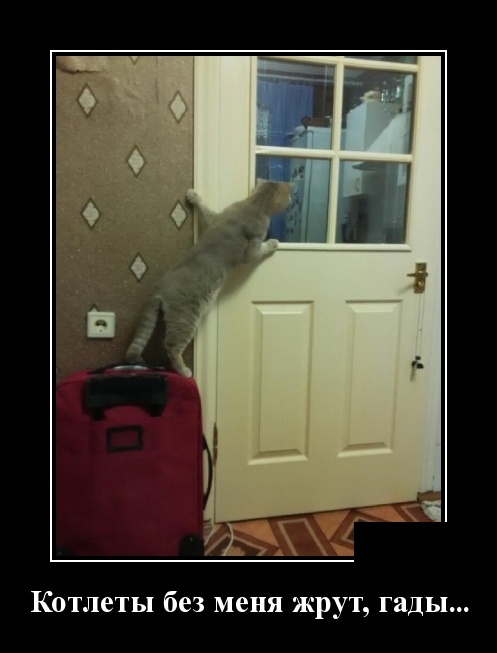 Демотиваторы