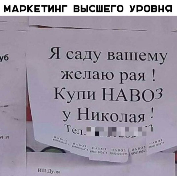Прикольные картинки