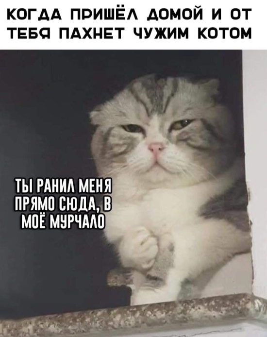 Прикольные картинки