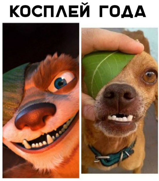 Прикольные картинки