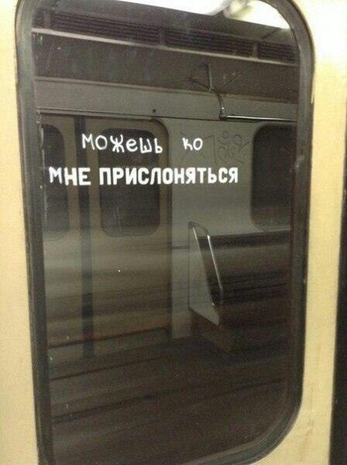 Прикольные картинки