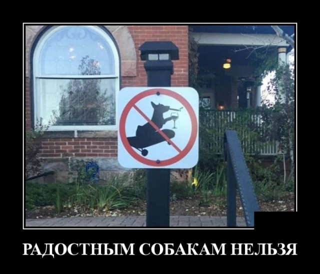 Демотиваторы