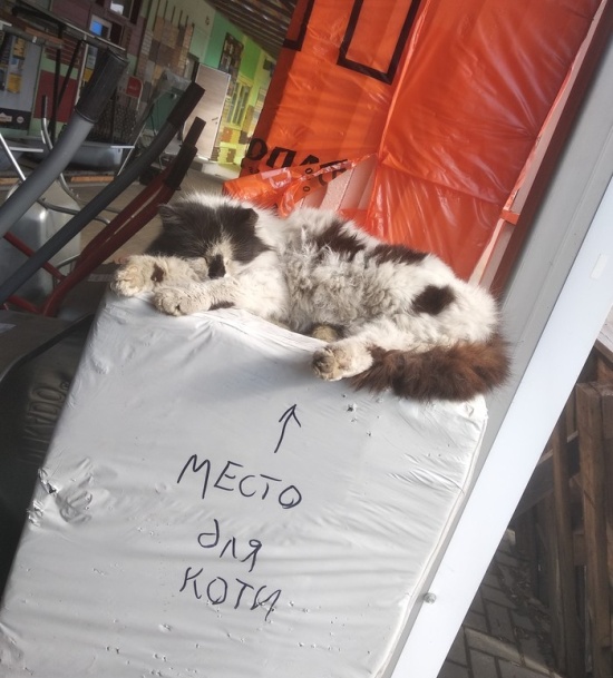 Прикольные картинки