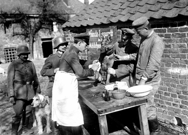 Архивные фотографии и интересные моменты из прошлого